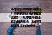 小生意在哪里卖货赚钱？如何找到合适的销售渠道？，从哪里寻找合适的销售机会，快速获得小生意的盈利模式