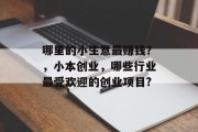 哪里的小生意最赚钱？，小本创业，哪些行业最受欢迎的创业项目?