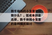 数千块钱的小生意可以做什么?,低成本创业选择,数千块钱小生意的盈利模式探讨