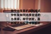 南宁小生意的盈利模式分析及如何选择合适的小项目,南宁创业,盈利模式与投资项目解析 南宁小生意的盈利模式分析及如何选择合适的小项目,南宁创业,盈利模式与投资项目解析