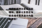 现在的哪种小生意比较赚钱，哪些小生意在当前市场中最具潜力与盈利前景？