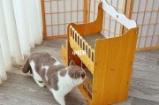 家里能养的宠物 家里能养的宠物