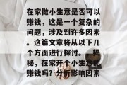 在家做小生意是否可以赚钱，这是一个复杂的问题，涉及到许多因素。这篇文章将从以下几个方面进行探讨。，揭秘，在家开个小生意能赚钱吗？分析影响因素