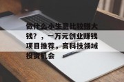 做什么小生意比较赚大钱?,一万元创业赚钱项目推荐,高科技领域投资机会 做什么小生意比较赚大钱?,一万元创业赚钱项目推荐,高科技领域投资机会