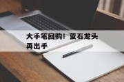 大手笔回购！萤石龙头再出手