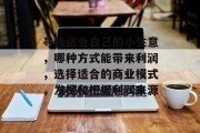 寻找适合自己的小生意，哪种方式能带来利润，选择适合的商业模式，发掘和把握利润来源