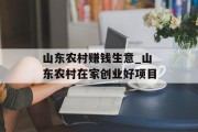 山东农村赚钱生意_山东农村在家创业好项目 山东农村赚钱生意_山东农村在家创业好项目