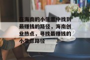 在海南的小生意中找到最赚钱的路径，海南创业热点，寻找最赚钱的小生意路径