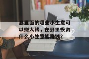 县里面的哪些小生意可以赚大钱，在县里投资什么小生意能赚钱？