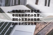 追寻溧阳的财富之路,寻找有前途的小生意,溧阳小生意创业指南,有前景的投资选择