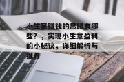 小生意赚钱的思路有哪些?,实现小生意盈利的小秘诀,详细解析与推荐