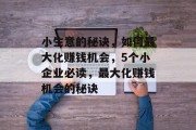 小生意的秘诀，如何最大化赚钱机会，5个小企业必读，最大化赚钱机会的秘诀