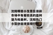 沈阳哪些小生意在目前市场中有着较高的盈利潜力和暴利,沈阳热门小型创业项目排行榜 沈阳哪些小生意在目前市场中有着较高的盈利潜力和暴利,沈阳热门小型创业项目排行榜