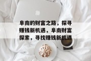 阜南的财富之路,探寻赚钱新机遇,阜南财富探索,寻找赚钱新机遇