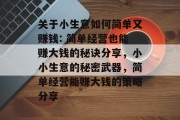 关于小生意如何简单又赚钱: 简单经营也能赚大钱的秘诀分享,小小生意的秘密武器,简单经营能赚大钱的策略分享