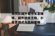 如何在国外做小生意赚钱,国外创业之路,小生意模式与盈利策略 如何在国外做小生意赚钱,国外创业之路,小生意模式与盈利策略
