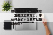 煤矿赚钱的几个小生意，发掘煤炭新潜力，哪些行业的小生意可以赚取利润?