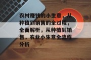 农材赚钱的小生意,从种植到销售的全过程,全面解析,从种植到销售,农业小生意全流程分析