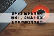 贵州农村做小生意赚不赚钱?,农村小生意创业前景与赚钱方式分析 贵州农村做小生意赚不赚钱?,农村小生意创业前景与赚钱方式分析