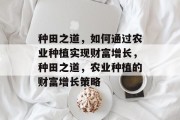 种田之道,如何通过农业种植实现财富增长,种田之道,农业种植的财富增长策略