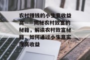 农村赚钱的小生意收益高——揭秘农村致富的秘籍,解读农村致富秘籍,如何通过小生意实现高收益 农村赚钱的小生意收益高——揭秘农村致富的秘籍,解读农村致富秘籍,如何通过小生意实现高收益
