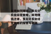 田地如何赚钱,多元化农业经营策略,田地赚钱之道,多元化农业经营策略的探索与实践 田地如何赚钱,多元化农业经营策略,田地赚钱之道,多元化农业经营策略的探索与实践