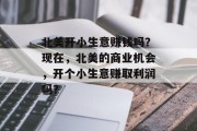 北美开小生意赚钱吗?现在,北美的商业机会,开个小生意赚取利润吗?