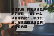 抓住机遇，探索快速盈利的项目——现在什么项目赚钱快？，抓住机遇，探索当前快速盈利的项目选择