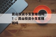 昆山投资小生意赚钱吗?,昆山投资小生意赚钱吗