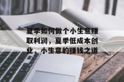夏季如何做个小生意赚取利润，夏季低成本创业，小生意的赚钱之道