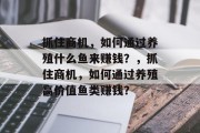 抓住商机,如何通过养殖什么鱼来赚钱?,抓住商机,如何通过养殖高价值鱼类赚钱? 抓住商机,如何通过养殖什么鱼来赚钱?,抓住商机,如何通过养殖高价值鱼类赚钱?