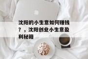 沈阳的小生意如何赚钱?,沈阳创业小生意盈利秘籍 沈阳的小生意如何赚钱?,沈阳创业小生意盈利秘籍