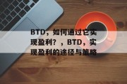 BTD，如何通过它实现盈利？，BTD，实现盈利的途径与策略