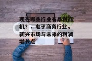 现在哪些行业有暴利商机?,电子商务行业,新兴市场与未来的利润增长点 现在哪些行业有暴利商机?,电子商务行业,新兴市场与未来的利润增长点