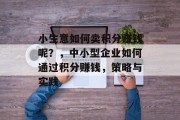 小生意如何卖积分赚钱呢?,中小型企业如何通过积分赚钱,策略与实践 小生意如何卖积分赚钱呢?,中小型企业如何通过积分赚钱,策略与实践