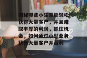 揭秘哪些小生意能轻松获得大量客户，并且赚取丰厚的利润，抓住机会，如何通过小型业务获得大量客户并盈利