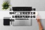 公司在公司做小生意赚钱吗?,公司经营之道,从赚钱到亏损的全程解析 公司在公司做小生意赚钱吗?,公司经营之道,从赚钱到亏损的全程解析