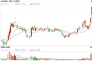 时创能源业绩变脸又定增背后:欲斥资3400万买商标 交易方曾突击入股5年浮盈近20倍