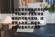 小小生意也能大放异彩,不起眼的小生意项目赚钱的可能与实践,经营微小企业,低成本、高回报盈利方式探索 小小生意也能大放异彩,不起眼的小生意项目赚钱的可能与实践,经营微小企业,低成本、高回报盈利方式探索