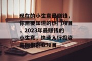 现在的小生意最赚钱,你需要知道的热门项目,2023年最赚钱的小生意,快速入行投资高回报创业项目 现在的小生意最赚钱,你需要知道的热门项目,2023年最赚钱的小生意,快速入行投资高回报创业项目