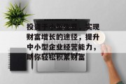 投资于小型生意,实现财富增长的途径,提升中小型企业经营能力,助你轻松积累财富