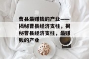 曹县最赚钱的产业——揭秘曹县经济支柱,揭秘曹县经济支柱,最赚钱的产业