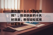 现在做什么小生意能赚钱?,投资创业的十大好项目,教你轻松实现财富增长 现在做什么小生意能赚钱?,投资创业的十大好项目,教你轻松实现财富增长