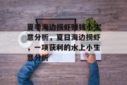 夏季海边捞虾赚钱小生意分析,夏日海边捞虾,一项获利的水上小生意分析 夏季海边捞虾赚钱小生意分析,夏日海边捞虾,一项获利的水上小生意分析