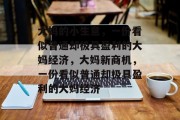 大妈的小生意,一份看似普通却极具盈利的大妈经济,大妈新商机,一份看似普通却极具盈利的大妈经济