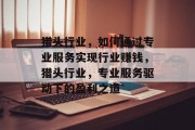 猎头行业,如何通过专业服务实现行业赚钱,猎头行业,专业服务驱动下的盈利之道