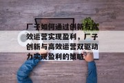 厂子如何通过创新与高效运营实现盈利,厂子创新与高效运营双驱动力实现盈利的策略