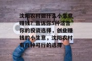 沈阳农村做什么小生意赚钱?告诉你5种适合你的投资选择,创业赚钱的小生意,沈阳农村有几种可行的选择 沈阳农村做什么小生意赚钱?告诉你5种适合你的投资选择,创业赚钱的小生意,沈阳农村有几种可行的选择