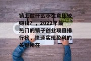 镇上做什么小生意比较赚钱?,2022年最热门的镇子创业项目排行榜,快速实现盈利的关键所在 镇上做什么小生意比较赚钱?,2022年最热门的镇子创业项目排行榜,快速实现盈利的关键所在