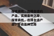 探索商机，选择合适的产品，实现盈利之路，探索商机，选择合适产品，开启盈利之路